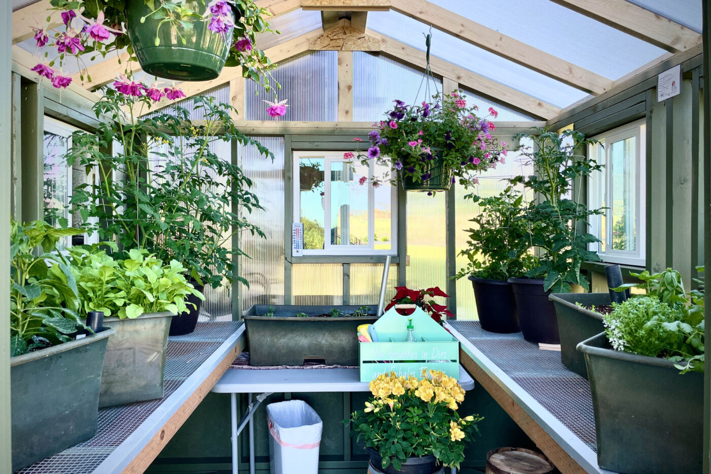 greenhouse for sale in Belgrade, Montana 